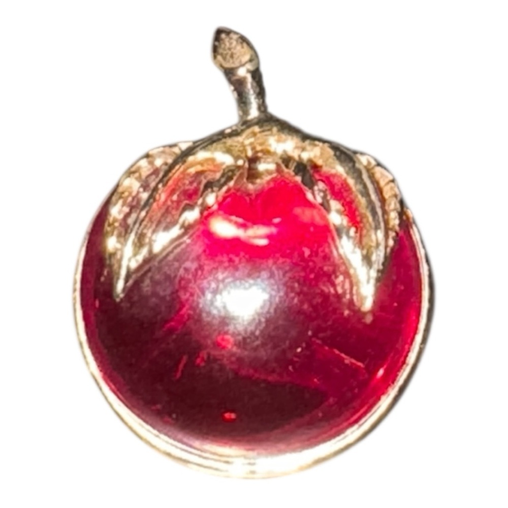 Sarah Coventry Vintage 1972 Lucite apple broach silver tone stem. JB5